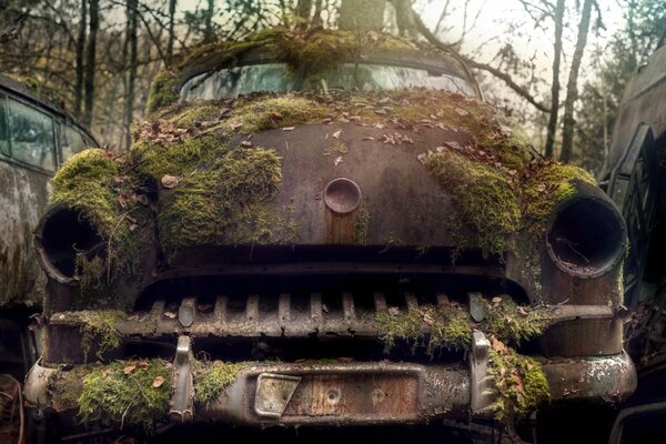 Vieille voiture sur le parking couvert de mousse