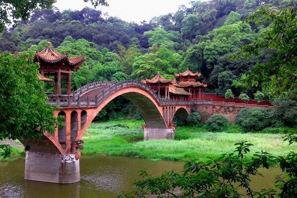 Chinese bridge drowning in greenery