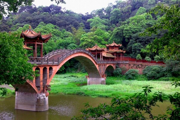 Puente chino hundido en el verde