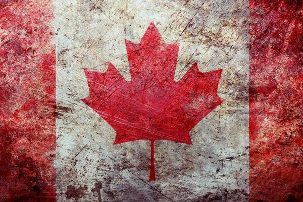 Maple leaf is a symbol of Canada aged
