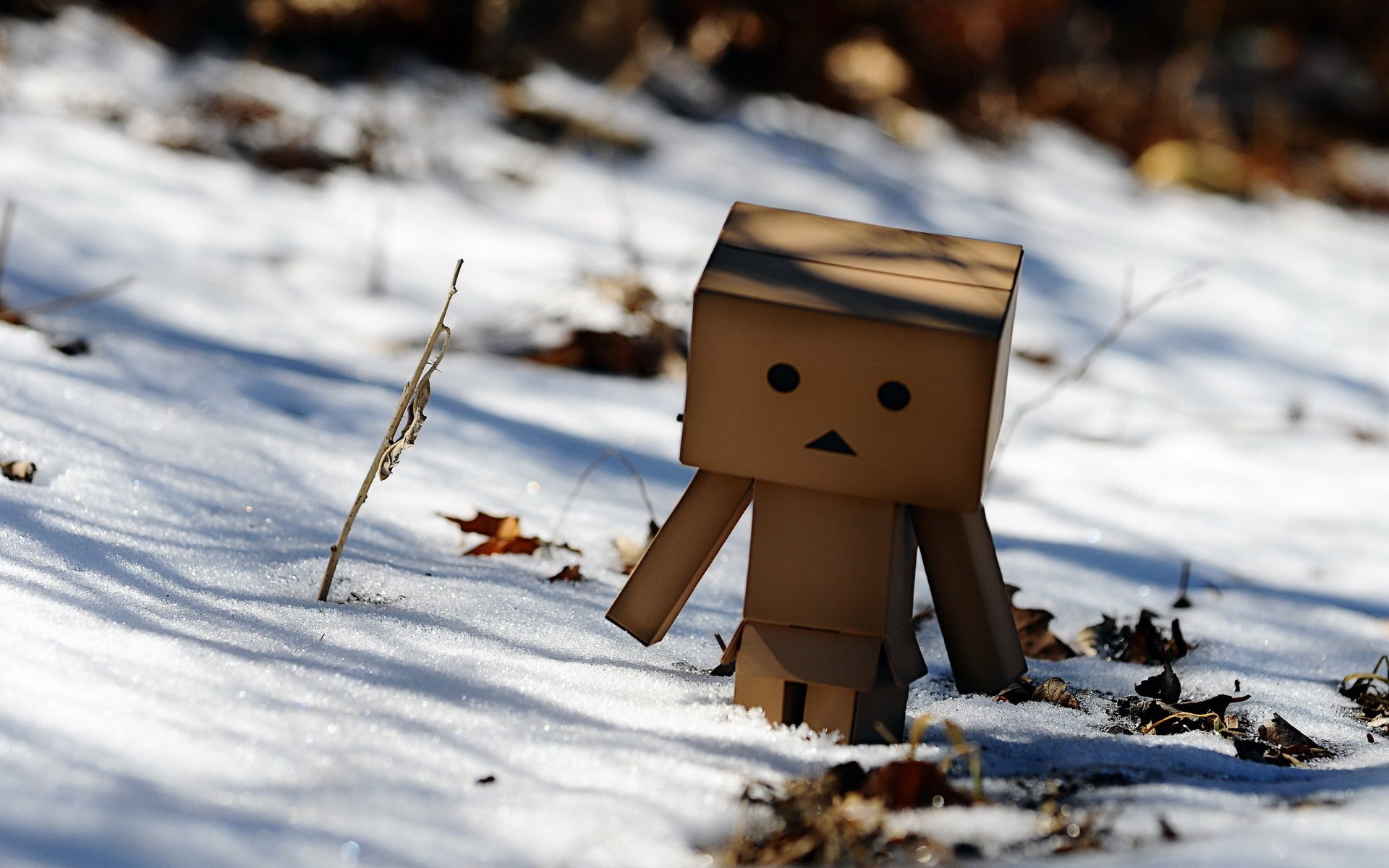 man of cardboard sad snow korobochek winter