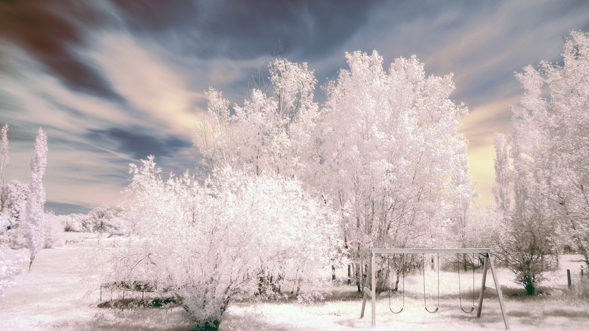 naturaleza blanca como la nieve nieve en todas partes invierno nieve escarcha cielo swing