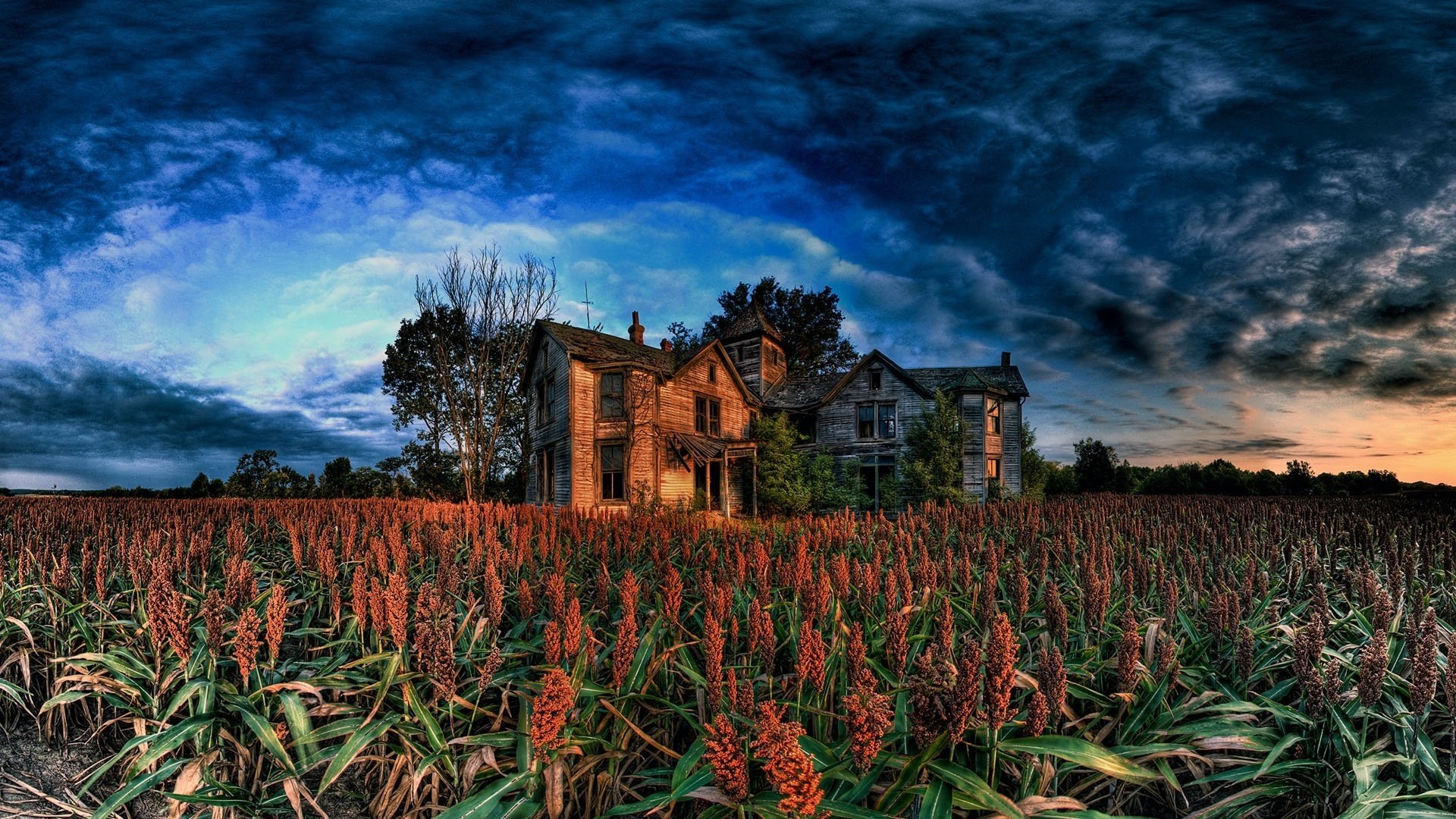 casa gris flores nubes oscuras tormenta casas cielo paisaje naturaleza belleza