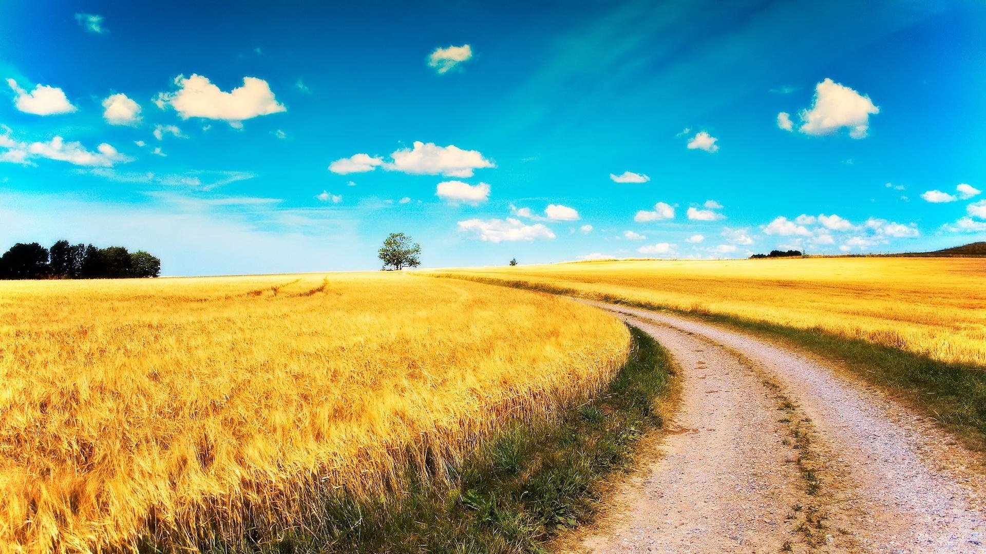 yellow fields road picture the sky field turn clouds the sun heat summer landscape nature wheat tree ray