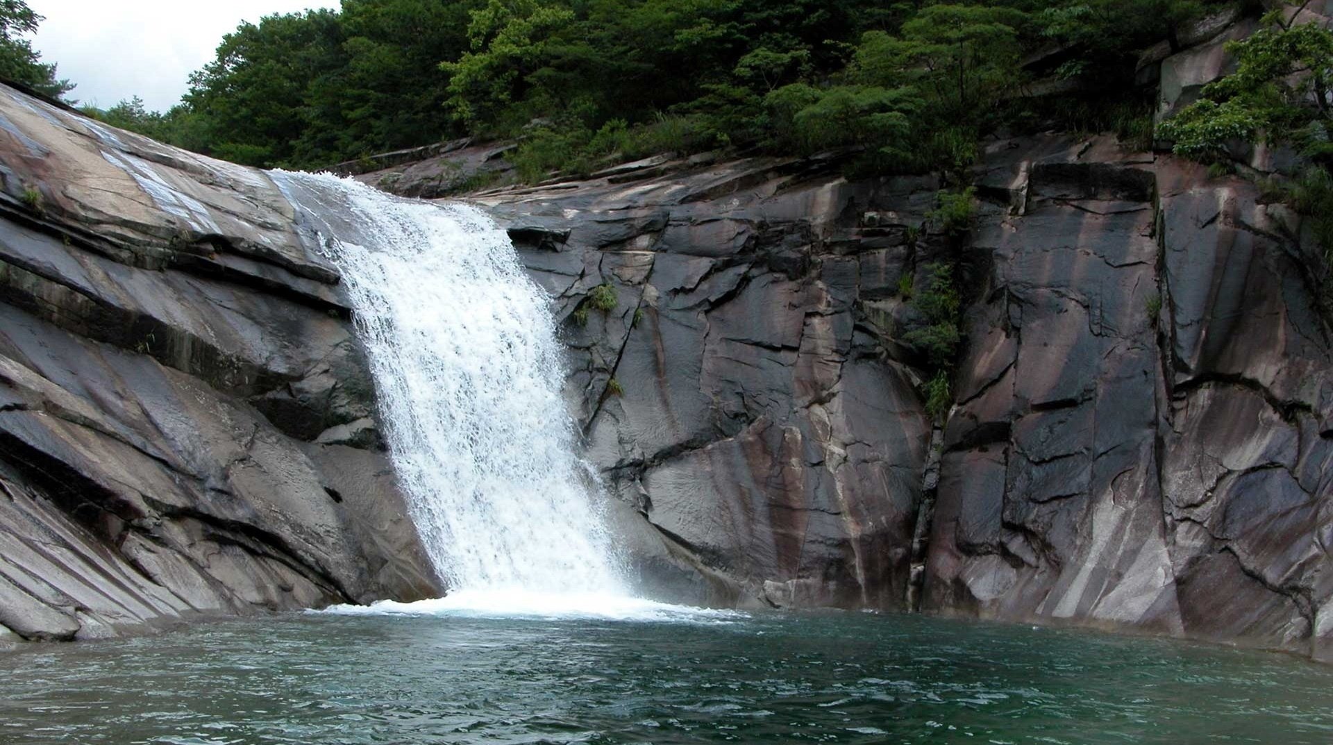 cascada acantilado roca de roca agua bosque árboles