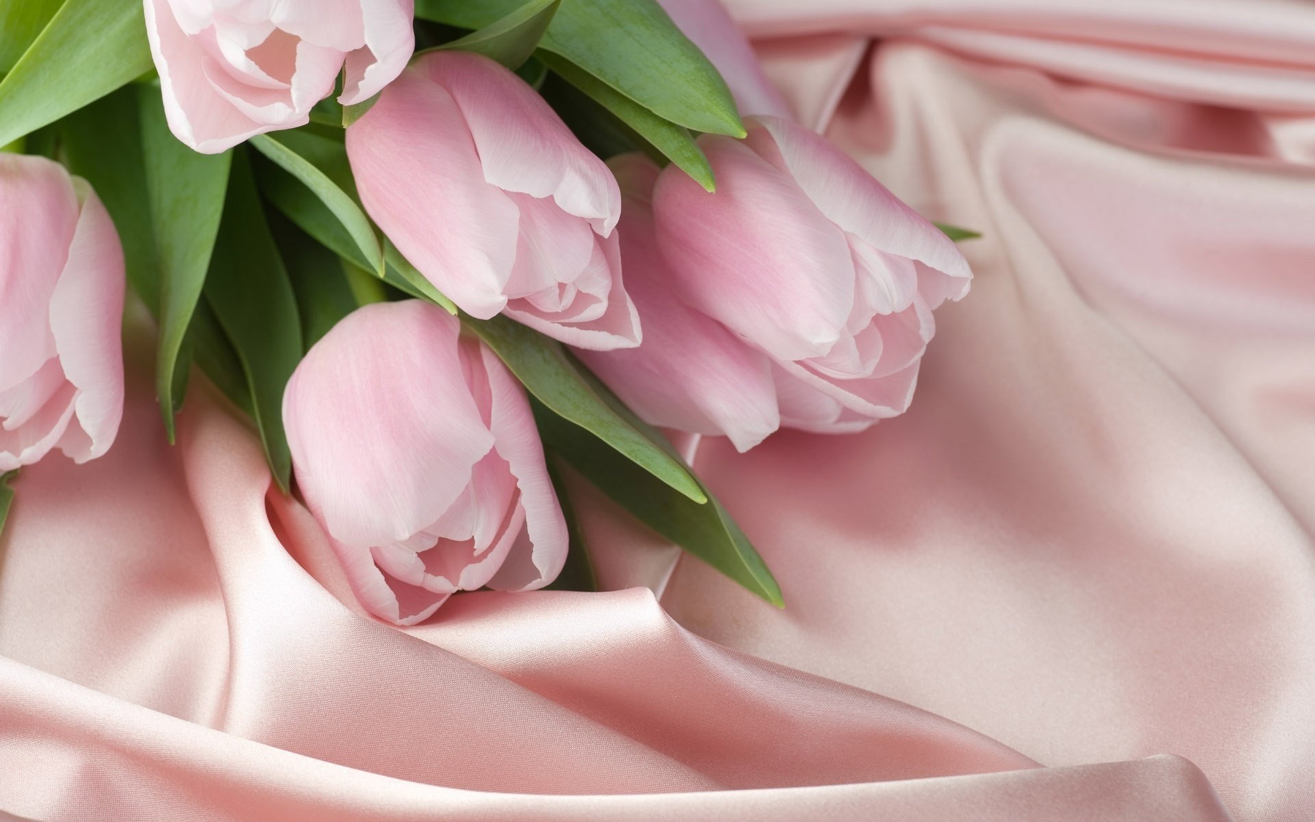 flowers silk gentle pink a bouquet of tulips bouquet tulip