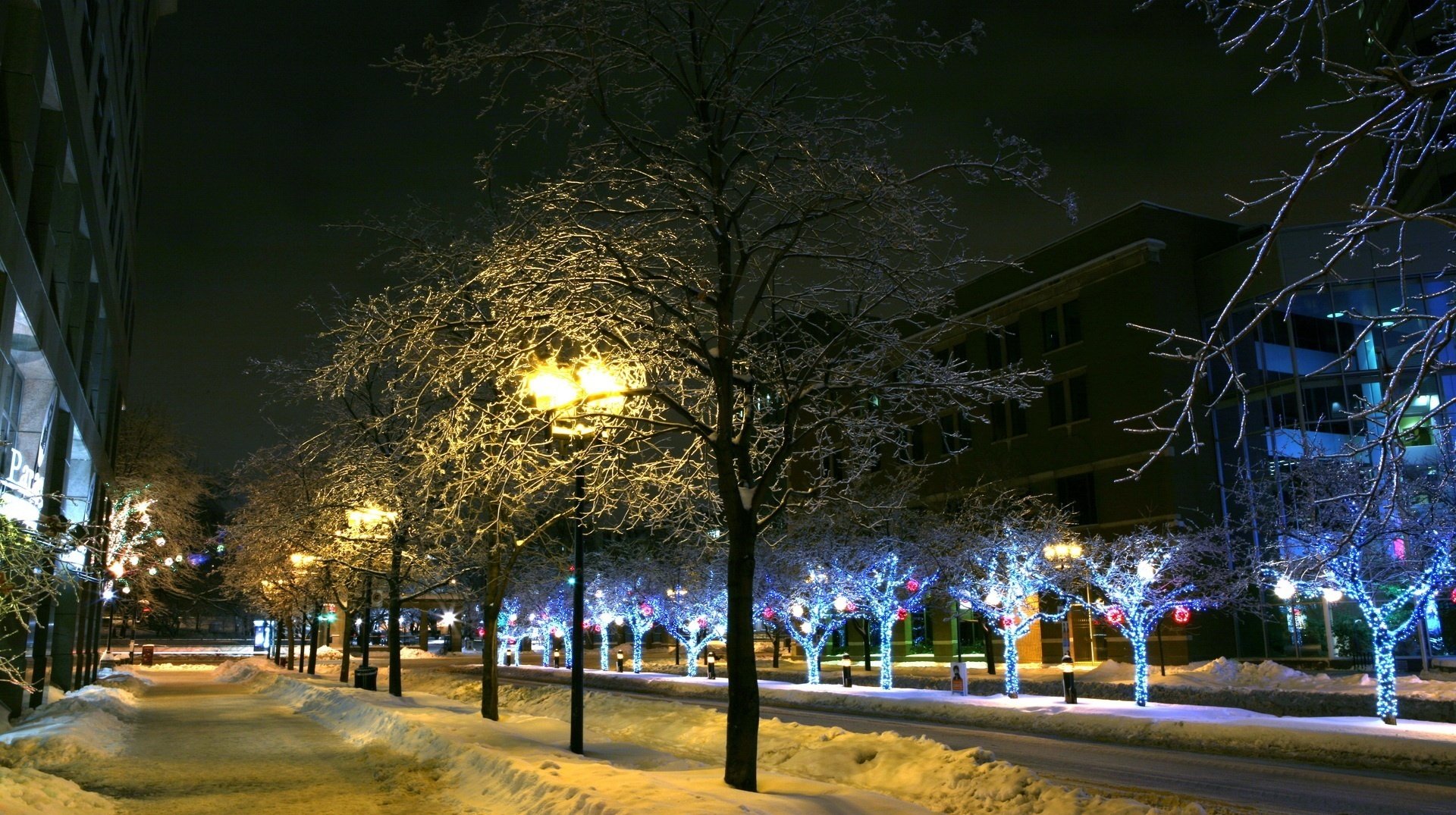 leuchtende bäume weihnachtsstimmung schneeverwehungen stadt nacht neujahr urlaub laternen reihen lichter frost gasse park abend