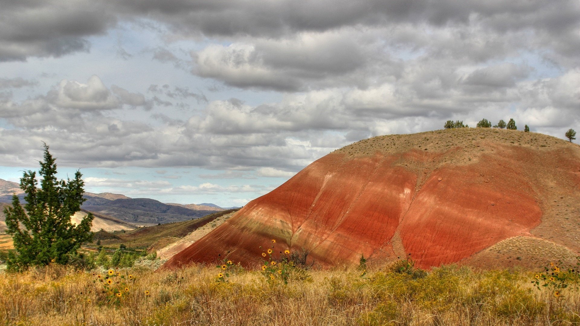 flowers hill red dry grass mountains the sky clouds field nature landscape summer