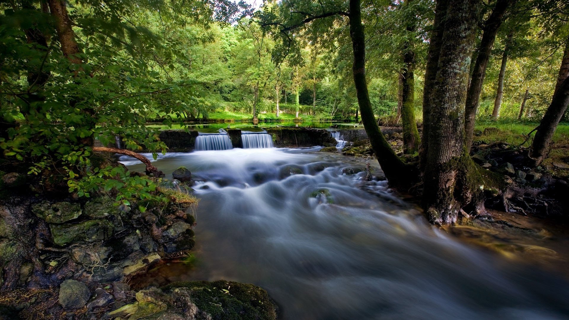 wald kleiner wasserfall kieselsteine bach wasser park bäume grüns büsche steine fluss verlauf tag sommer