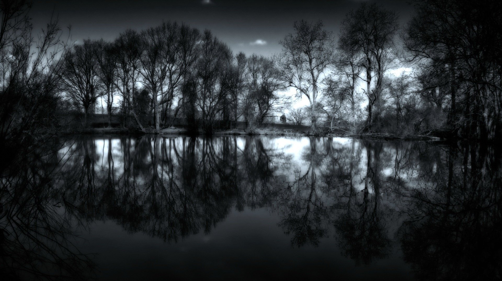 gris arbres sans feuillage lac eau forêt réflexion gris nature crépuscule nuageux paysage tristesse