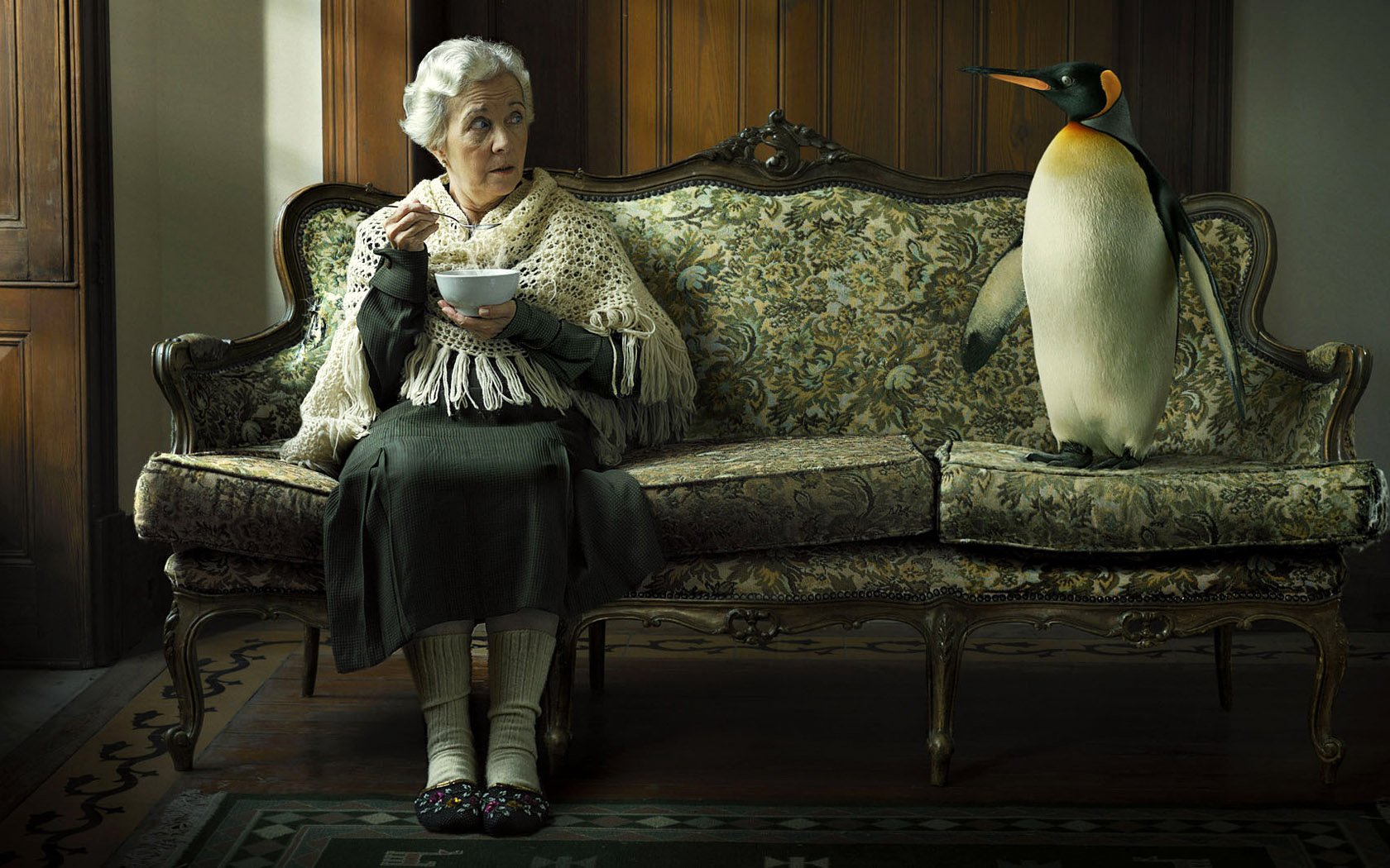 grandma tea the couch penguin animals birds people