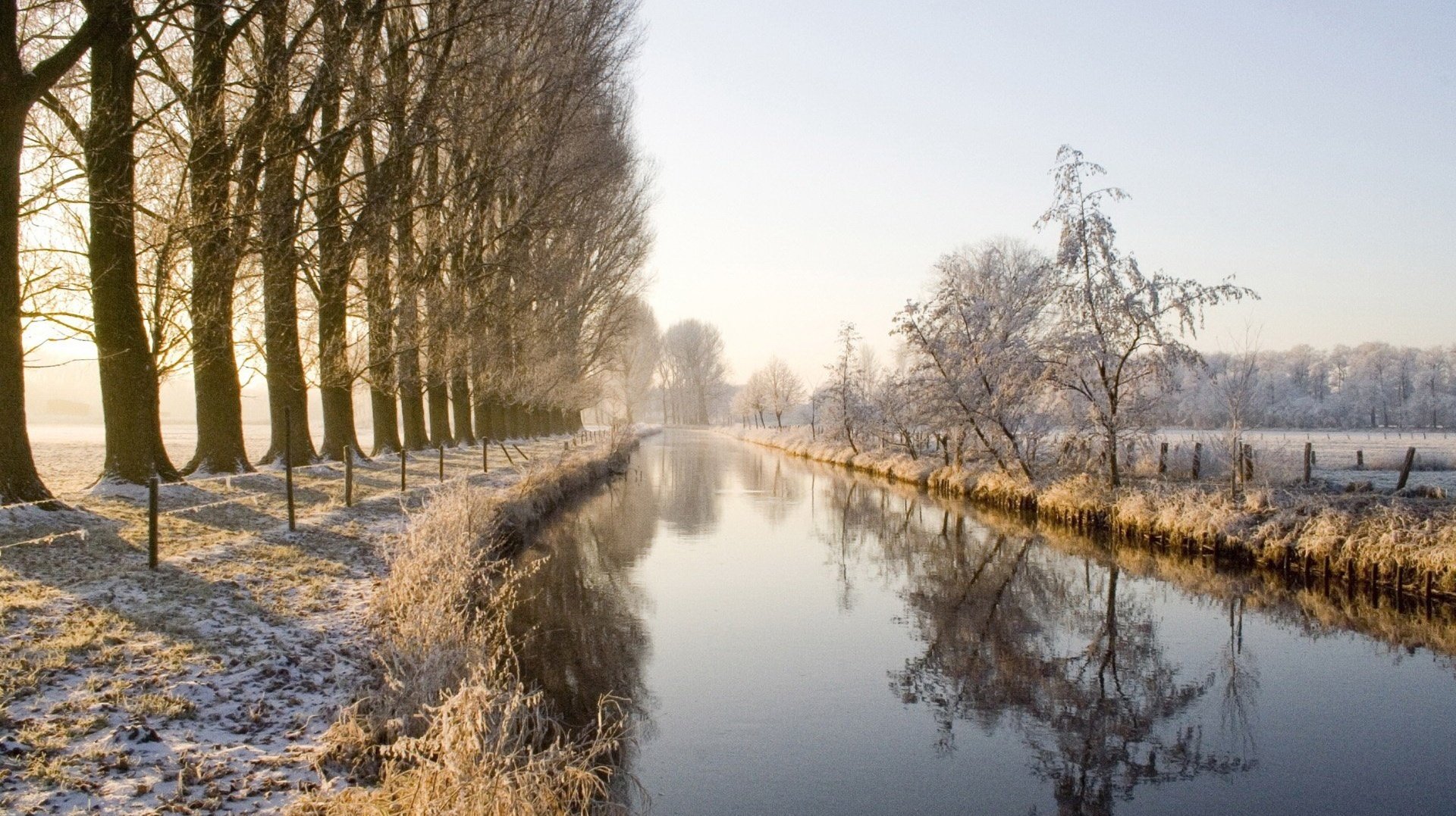 the road from the water mirror snow winter river channel the forest fence frost