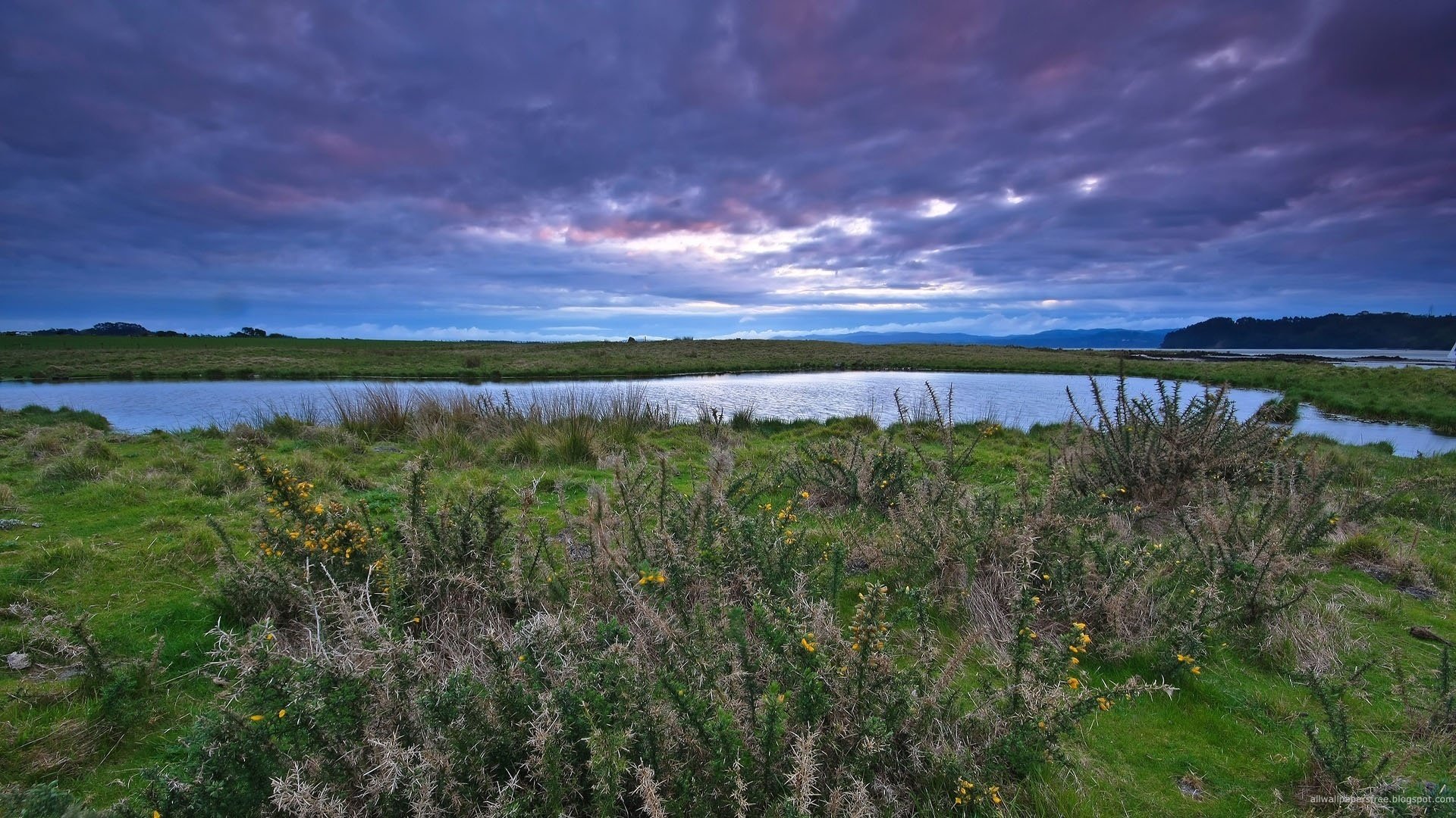 wilder see graue büsche verlängerter himmel see wasser himmel wiese feld grün gras büsche wolken fluss zwei ufer tal landschaft