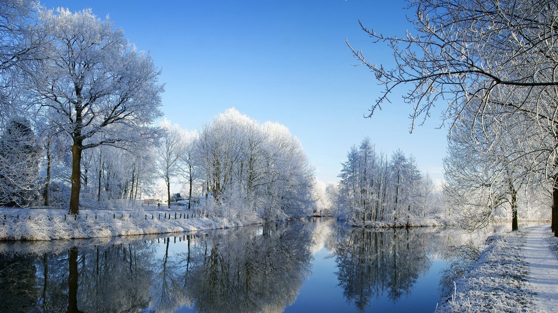 winterzeit wasserflächen bäume im schnee winter flüsse wasser fluss reflexion strömung landschaft natur himmel frost ruhe stille schnee