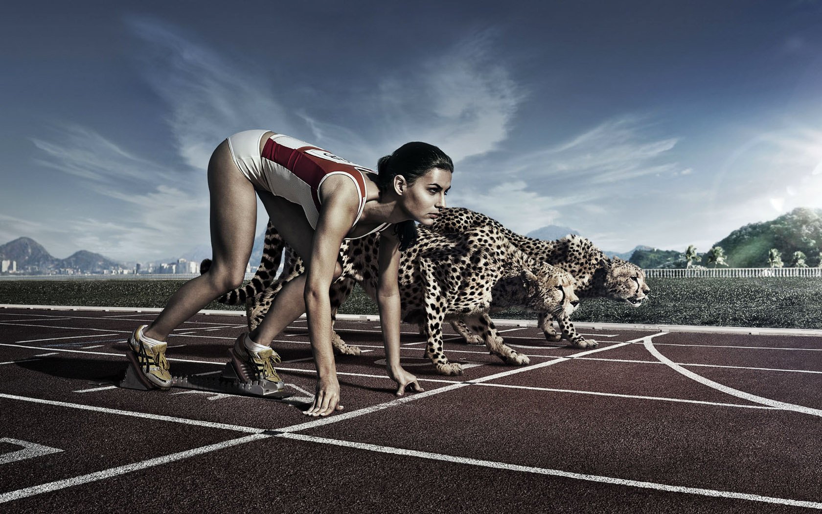 unequal fight running without obstacles leopard sport girls animals cats kitty-kitty-meow-meow fashion models women girl creative