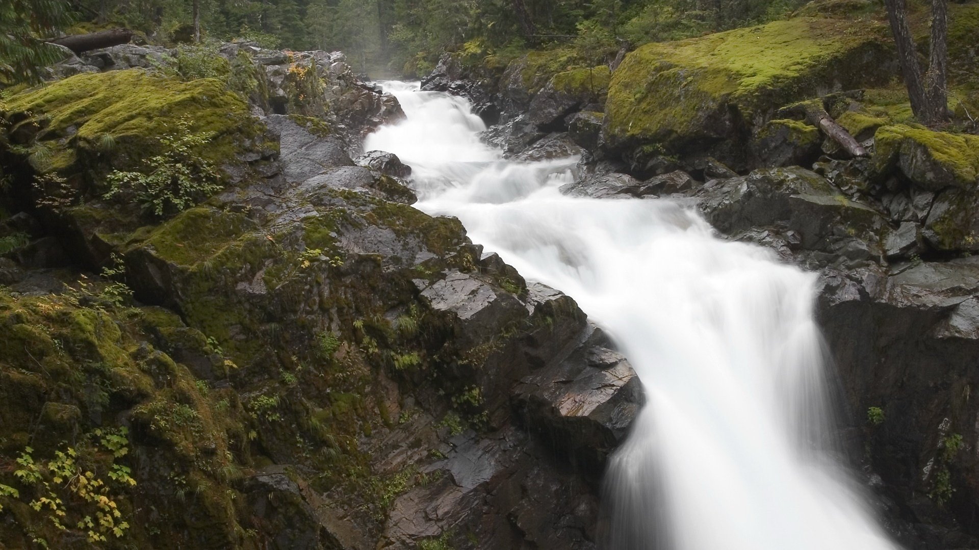 massicci di pietra ruscello di montagna velocità fiume acqua ruscelli