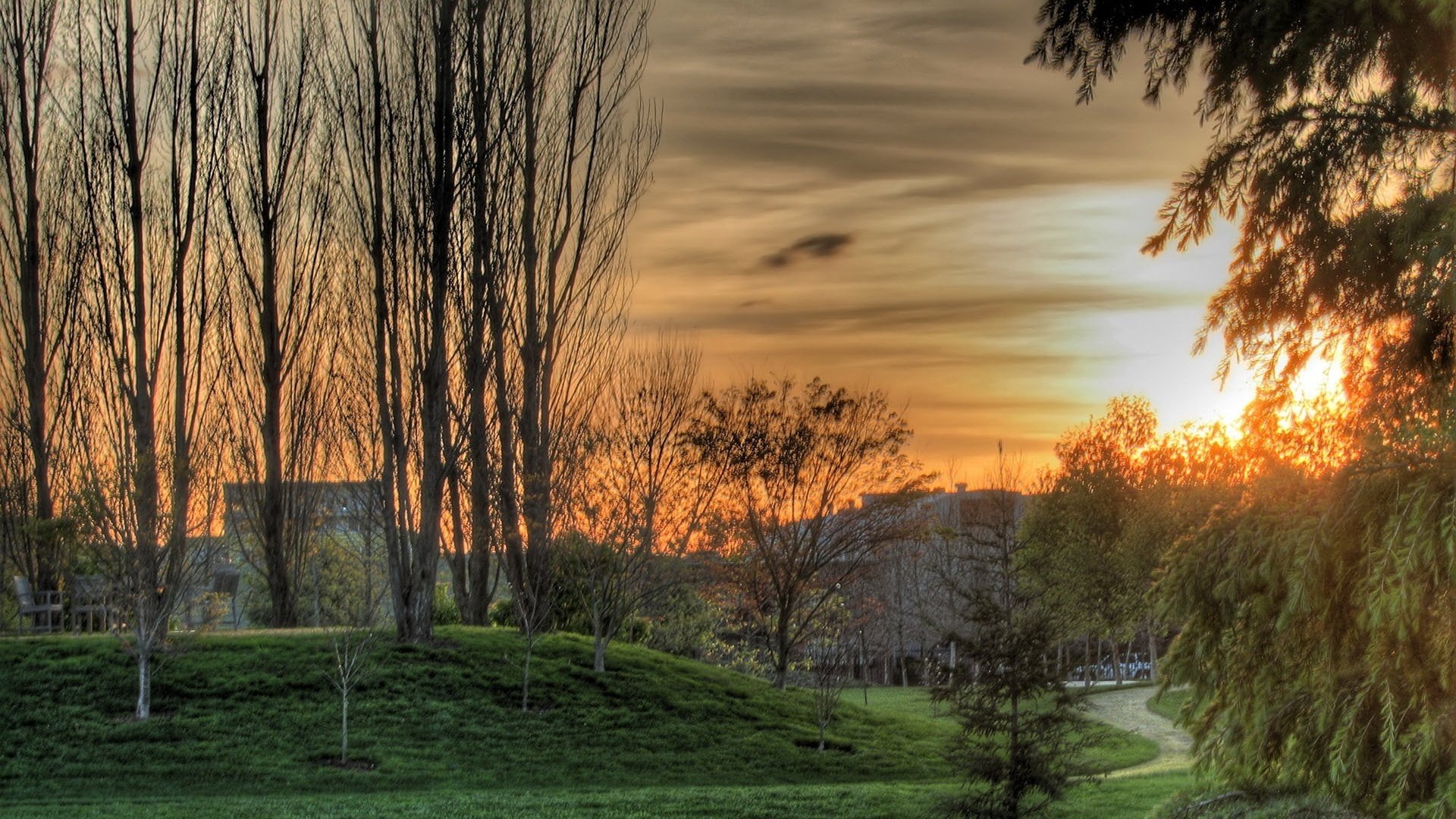 prato falciato alberi secchi parco casetta tramonto sentiero erba