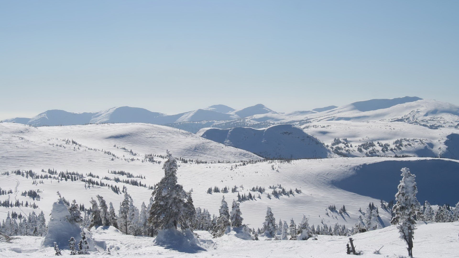 sapin dans la neige hiver collines montagnes neige