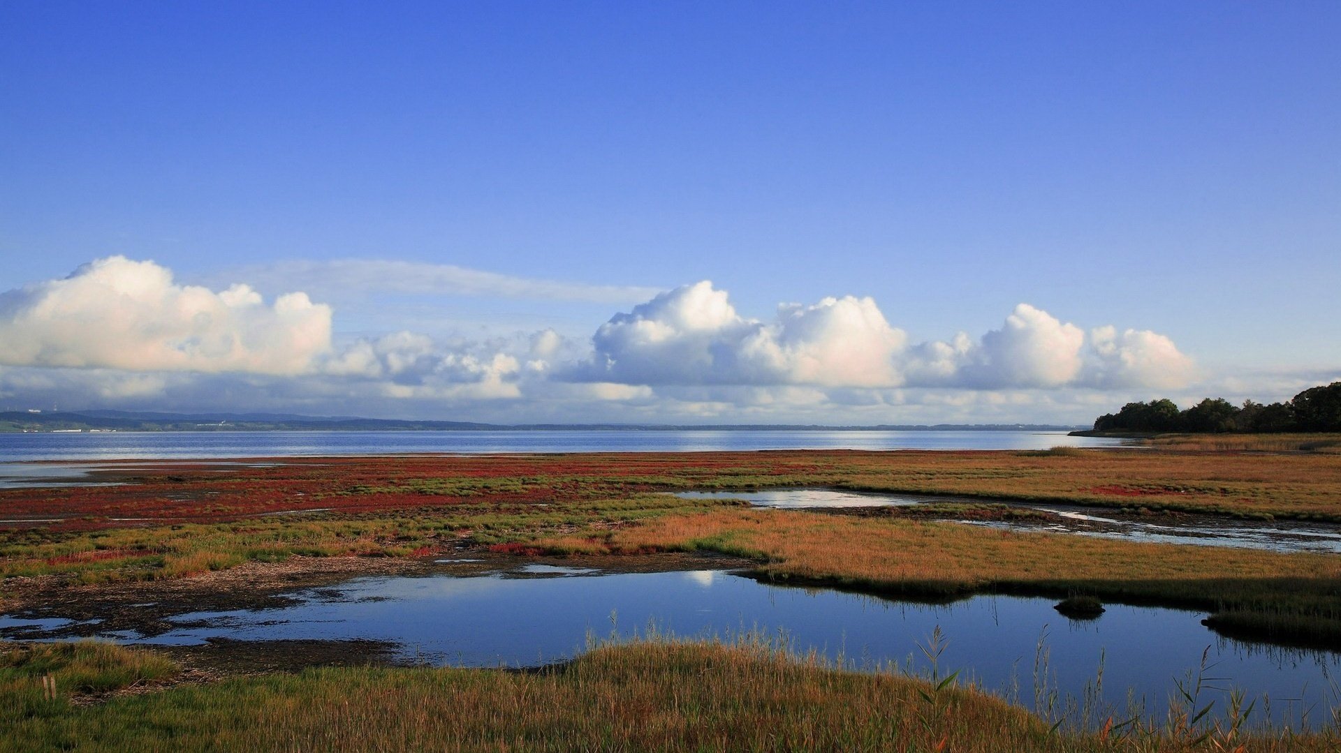 podziały ziemi błękitna woda trawa niebo woda horyzont chmury bagno krajobraz natura lato