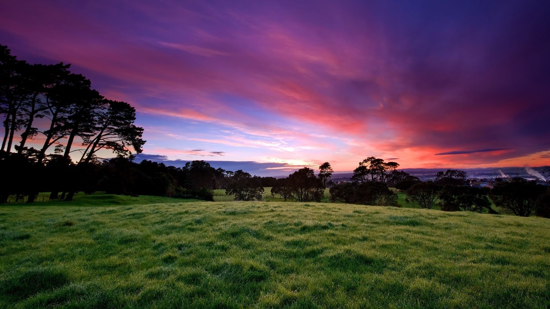 pink lights in the sky field grass sunset the sky