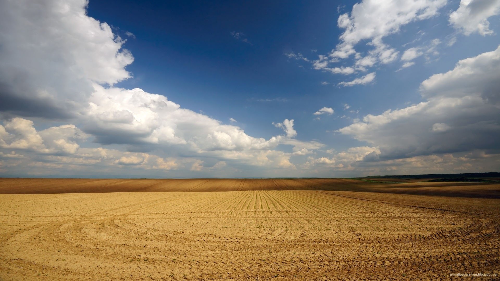 campo arado color dorado huellas de neumáticos cielo nubes horizonte paisaje campo campo de trigo