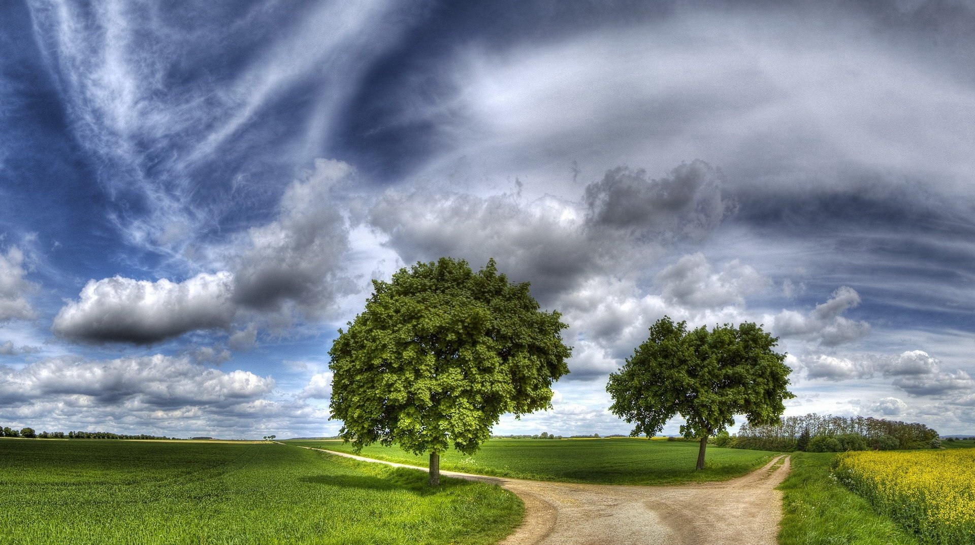 bäume im feld kreuzung zwei straßen straßen wolken straße himmel grün wiese