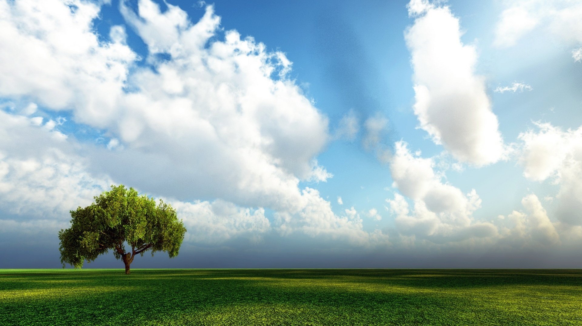 flugtag sommertag einsamer baum flauschiges laub himmel feld baum gras grün steppe wolken gelassenheit ruhe schatten sonniger tag warm sommer wolken