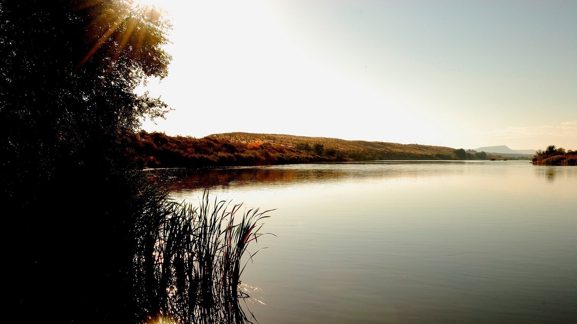 large areas water reeds lake water day surface rays sun hills shore trees landscape expanse nature