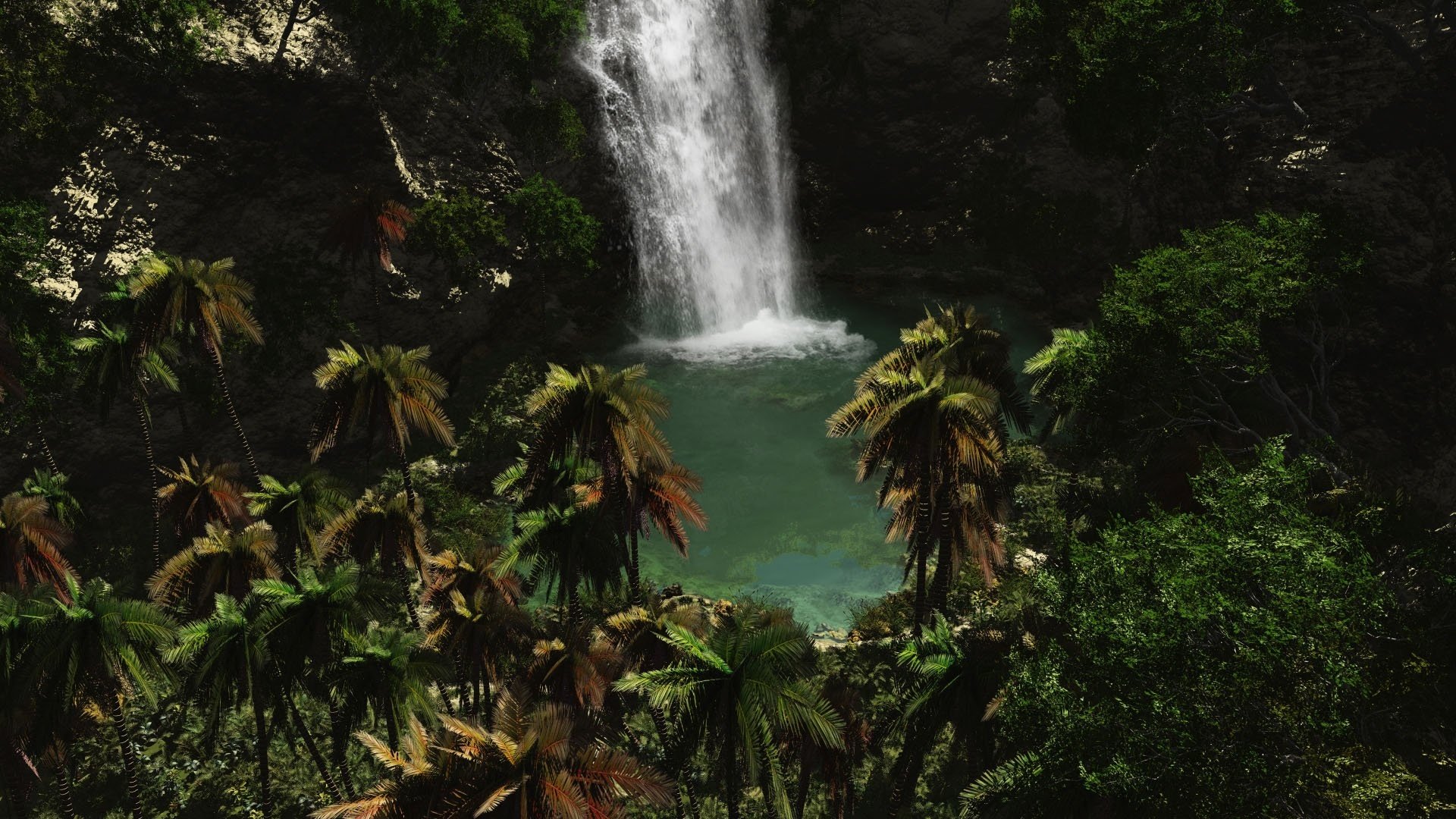 débit d eau de montagne altitude plantes tropicales cascade eau palmiers fourrés nature verdure tropiques paysage faune