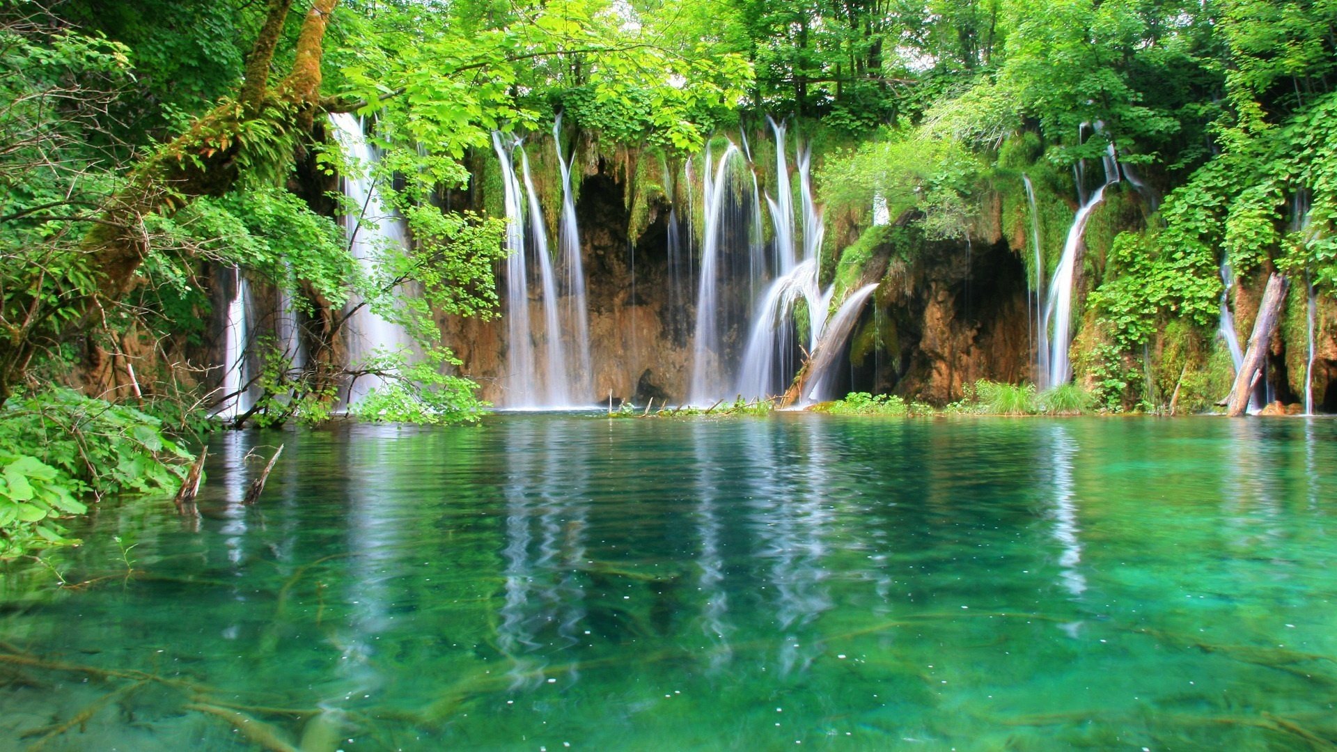 kleine bäche oben klares wasser fluss wald wasserfall wasser sommer dickicht grün natur büsche landschaft grünes wasser tag sonnig