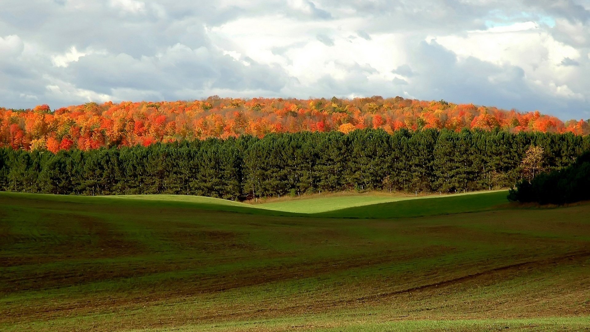 lichtung in den bergen bunte flecken herbst wald bäume himmel wolken