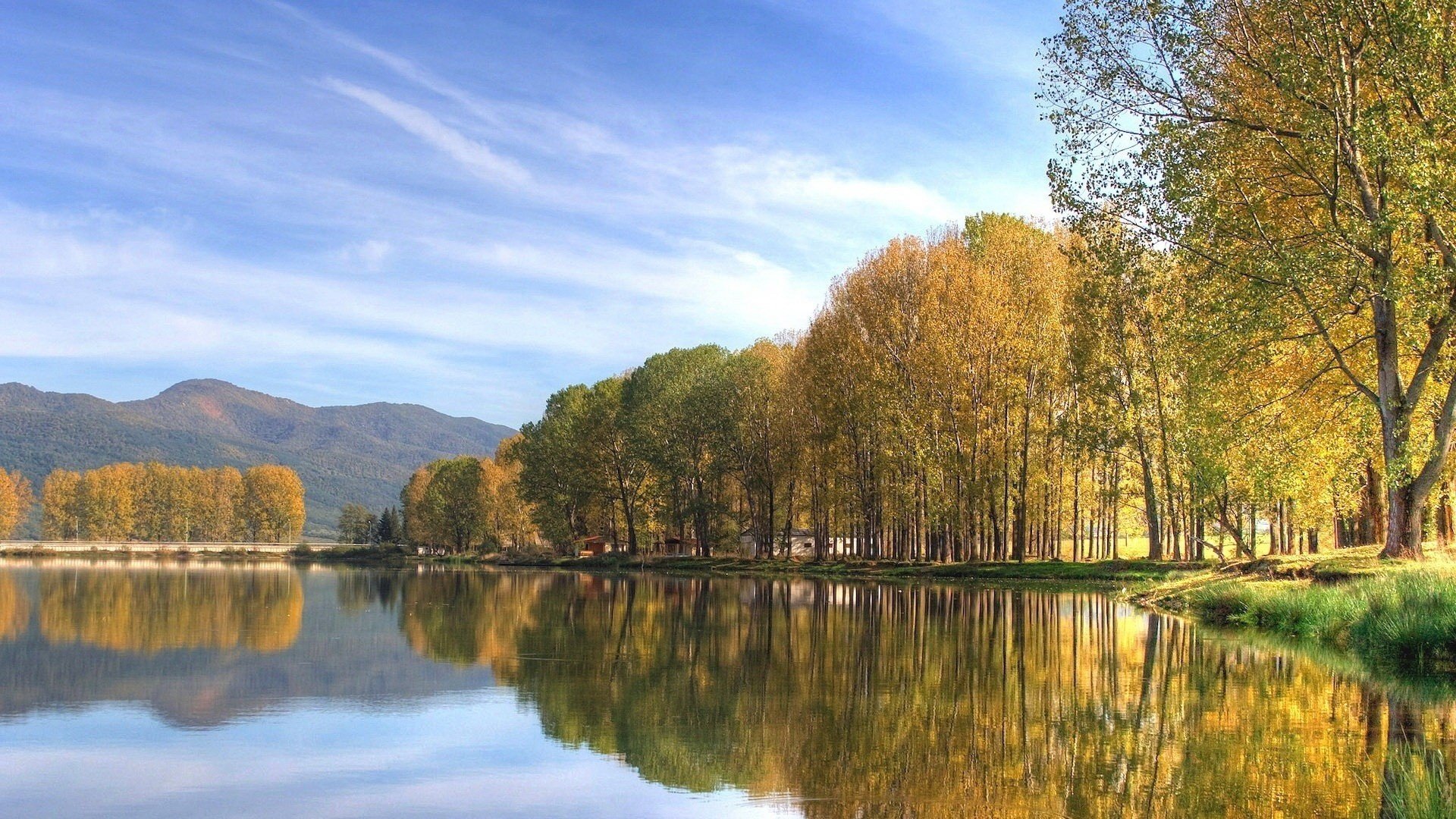 mirror water fluffy trees yellow leaves the sky lake forest water mountains trees landscape calm clouds grass greens reflection