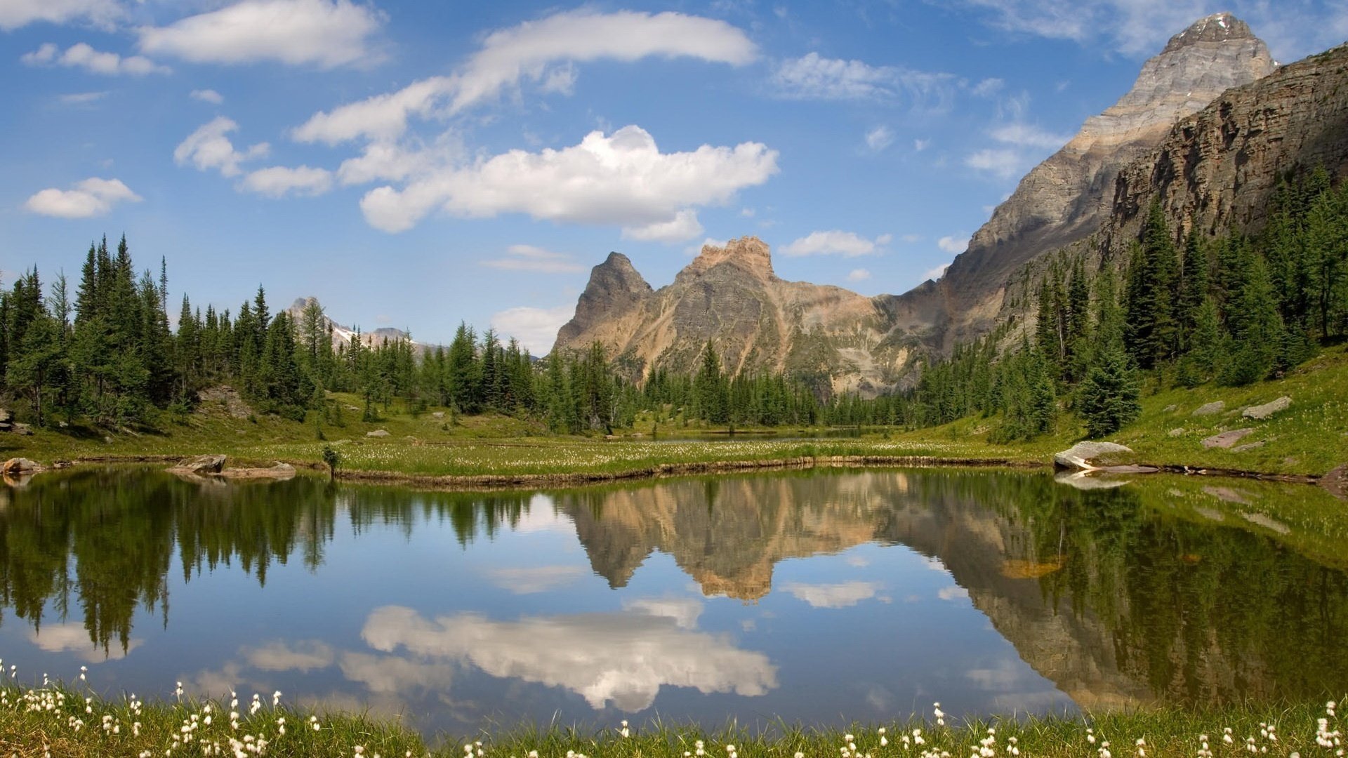 wild part the colors of nature mirror mountains lake the sky clouds reflection nature landscape purity surface tree rock