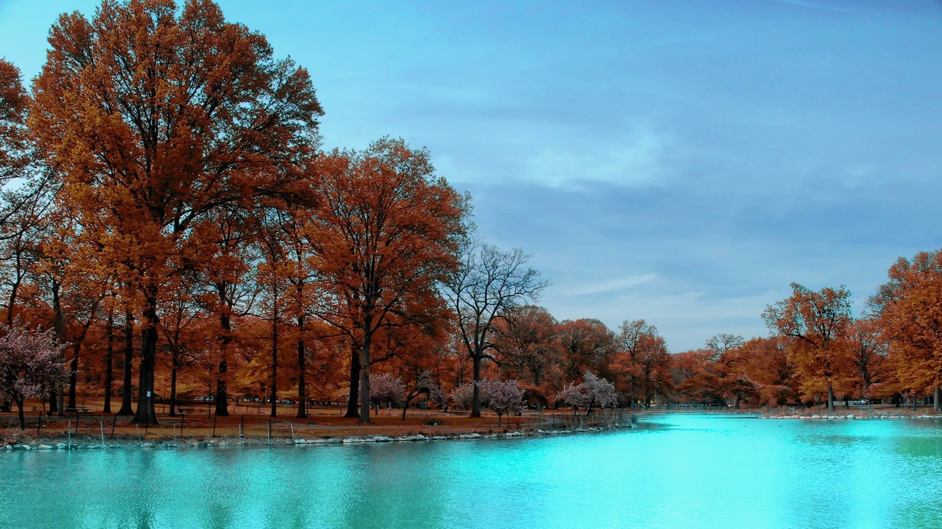 hojas marrones agua brillante fresco río bosque otoño silencio árboles serenidad naturaleza cielo parque