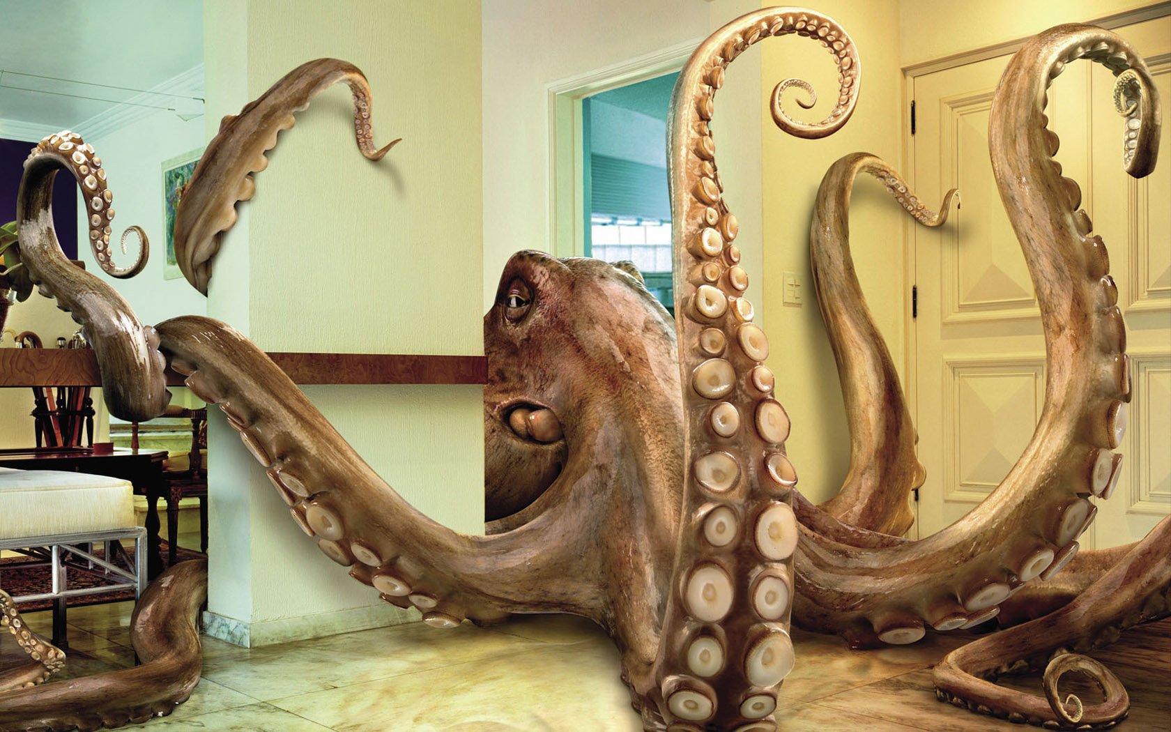 interior decoration octopus biggie animals fiction underwater world