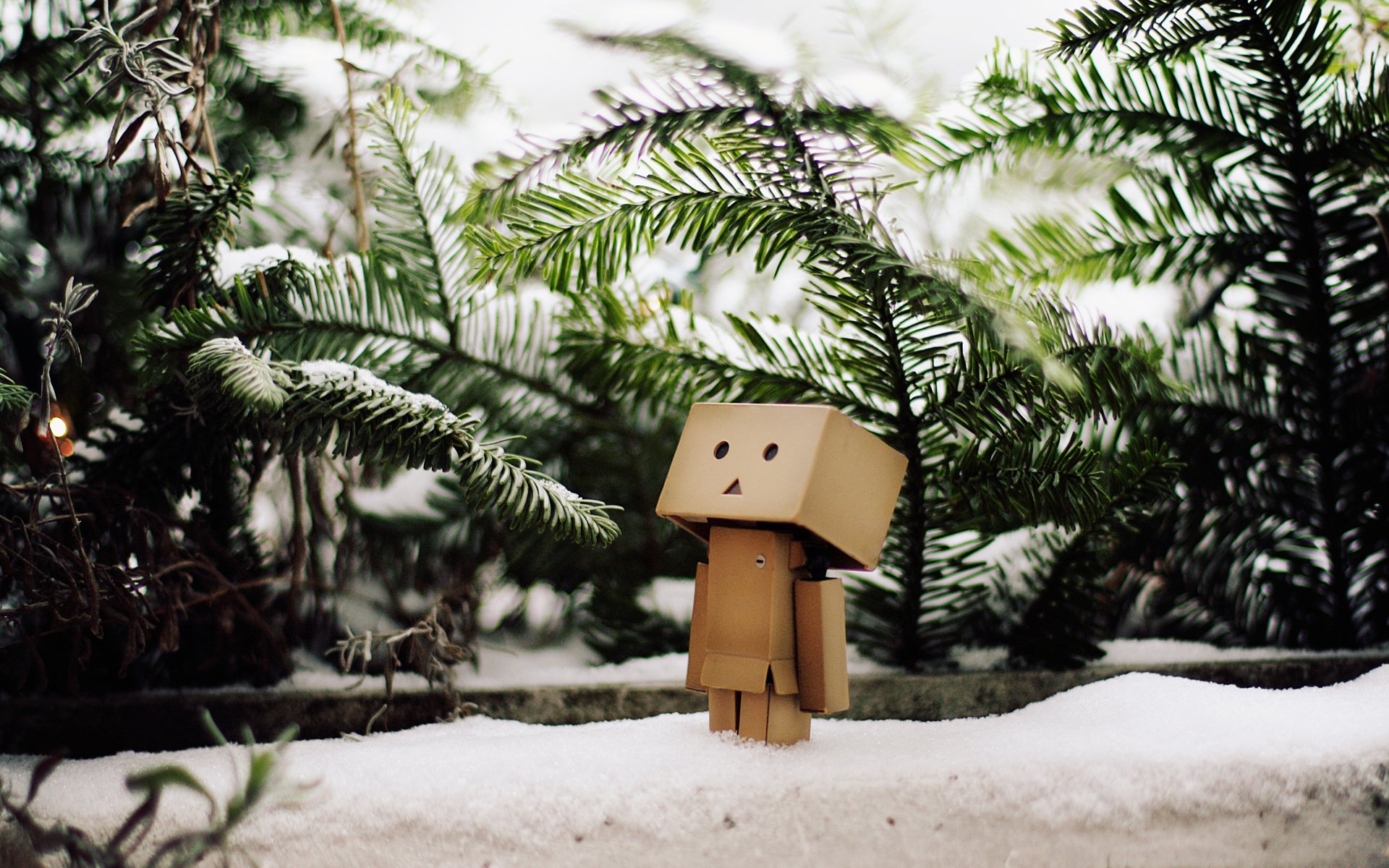 man cardboard box snow korobochek winter forest