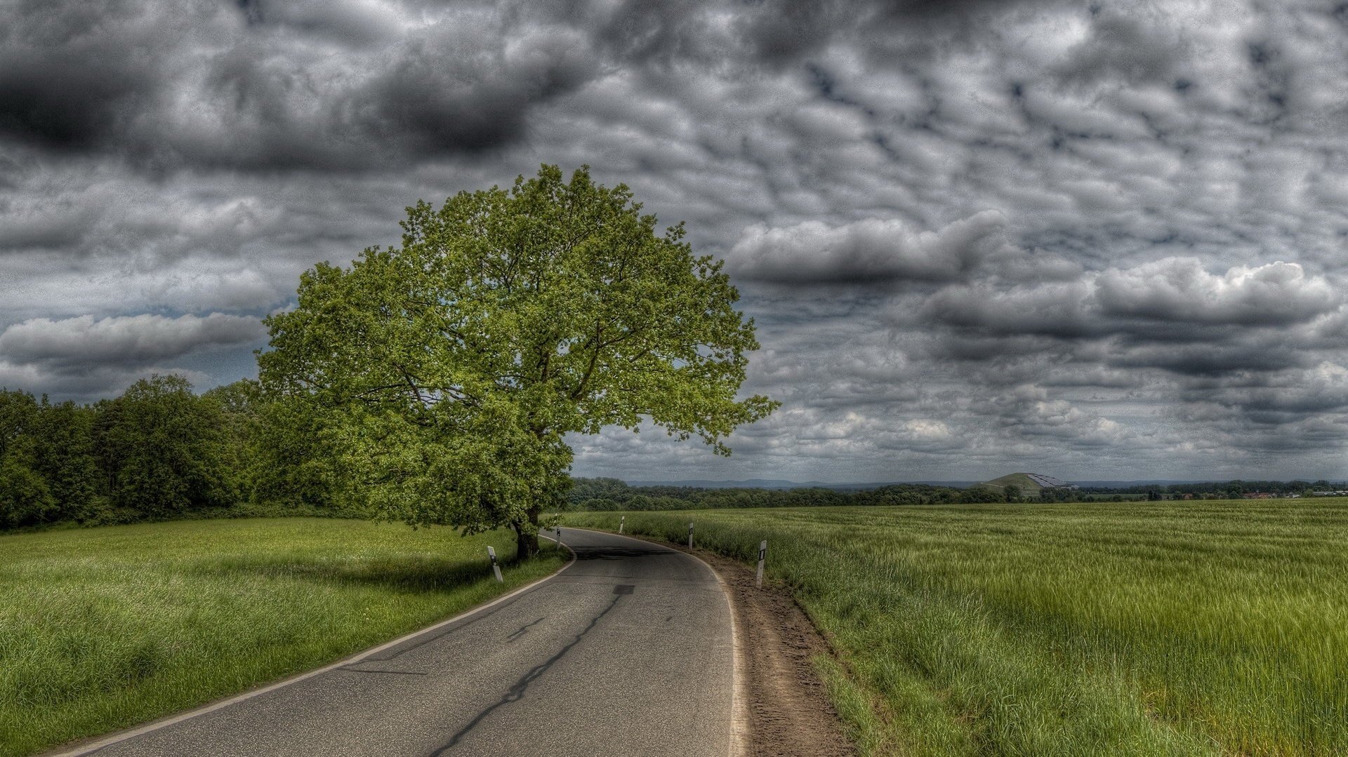 camino en el campo nubes oscuras árbol verde carretera tormenta cielo marcado bolardos giro hierba campo nubes de tormenta nublado mal tiempo