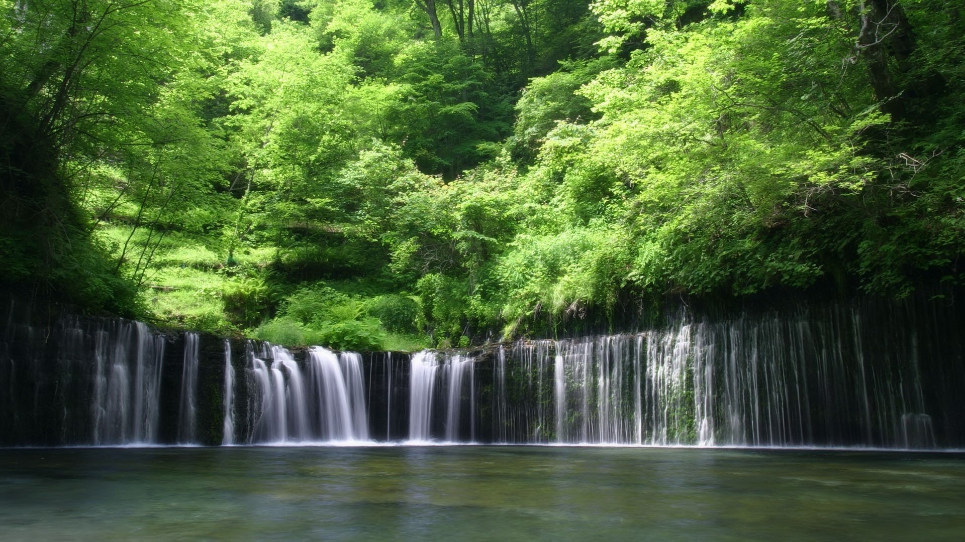 roches cascades feuilles vertes rivière forêt eau nature paysage fourrés verdure jour été ensoleillé