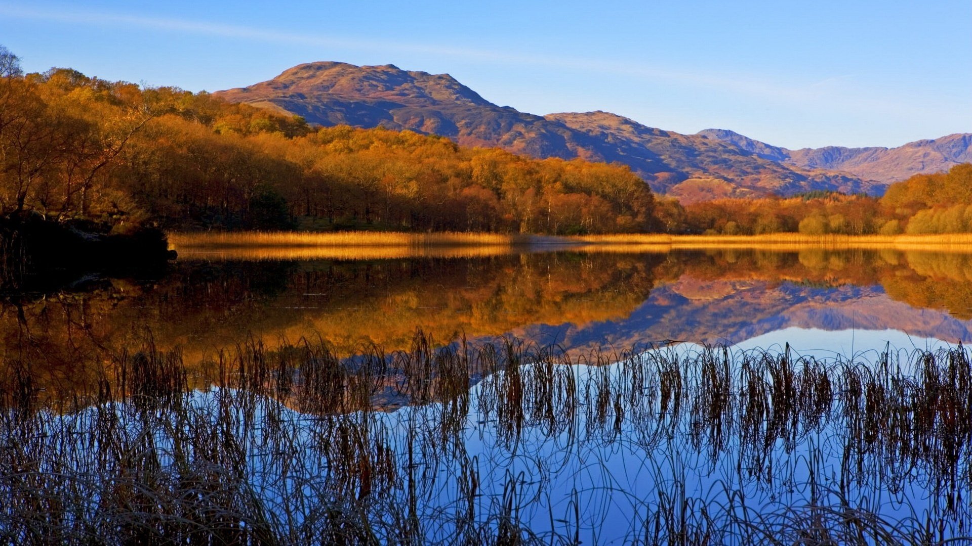 see waldgebiete schilf berge see wasser wald oberfläche reflexion natur herbstfarben herbstwald landschaft