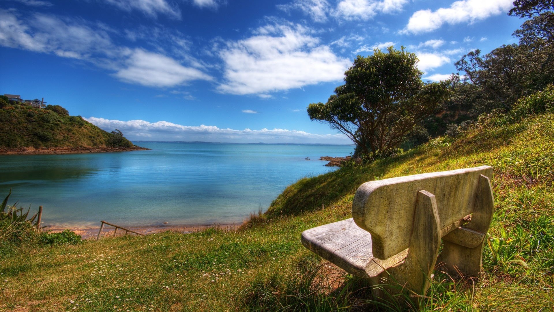 wooden bench favorite place water water sky summer nature shore clouds blue water greenery bushes trees vegetation bench day