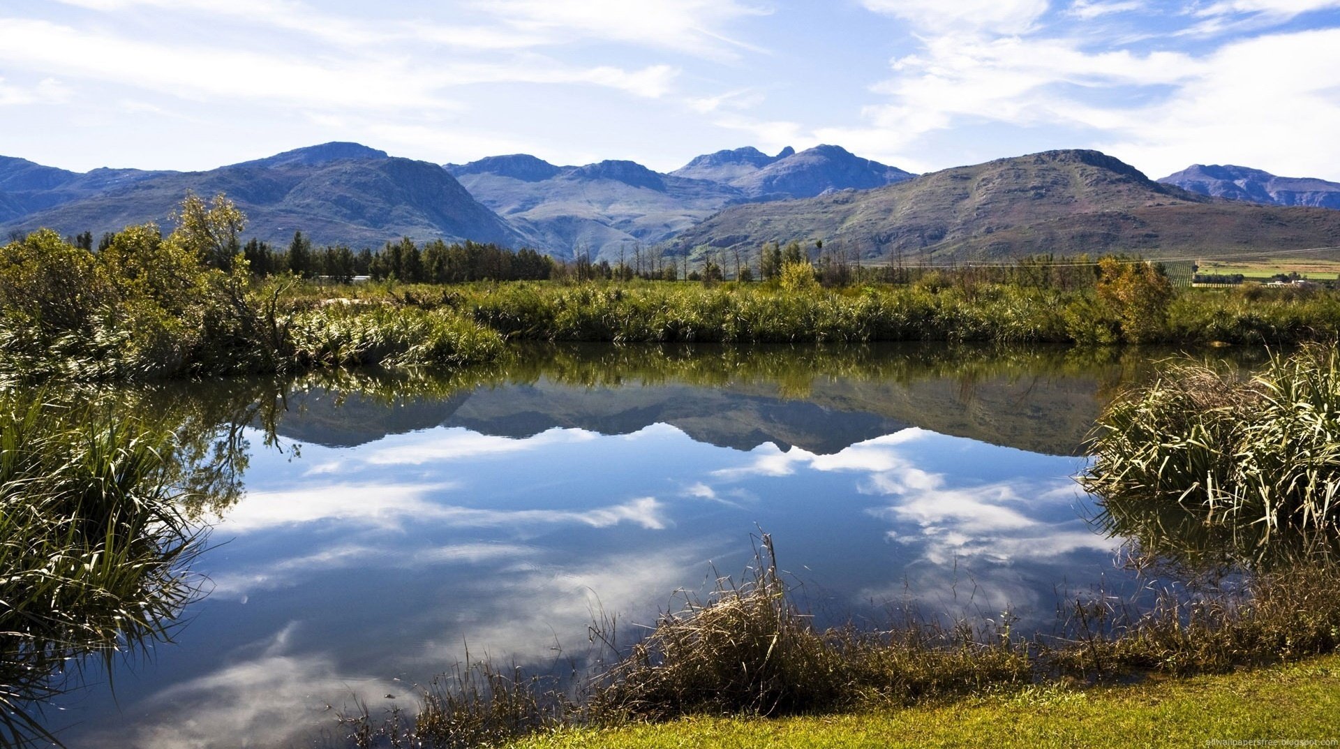 tierwelt schönheit schilf berge wasser see wolken reflexion landschaft ufer vegetation gras sträucher