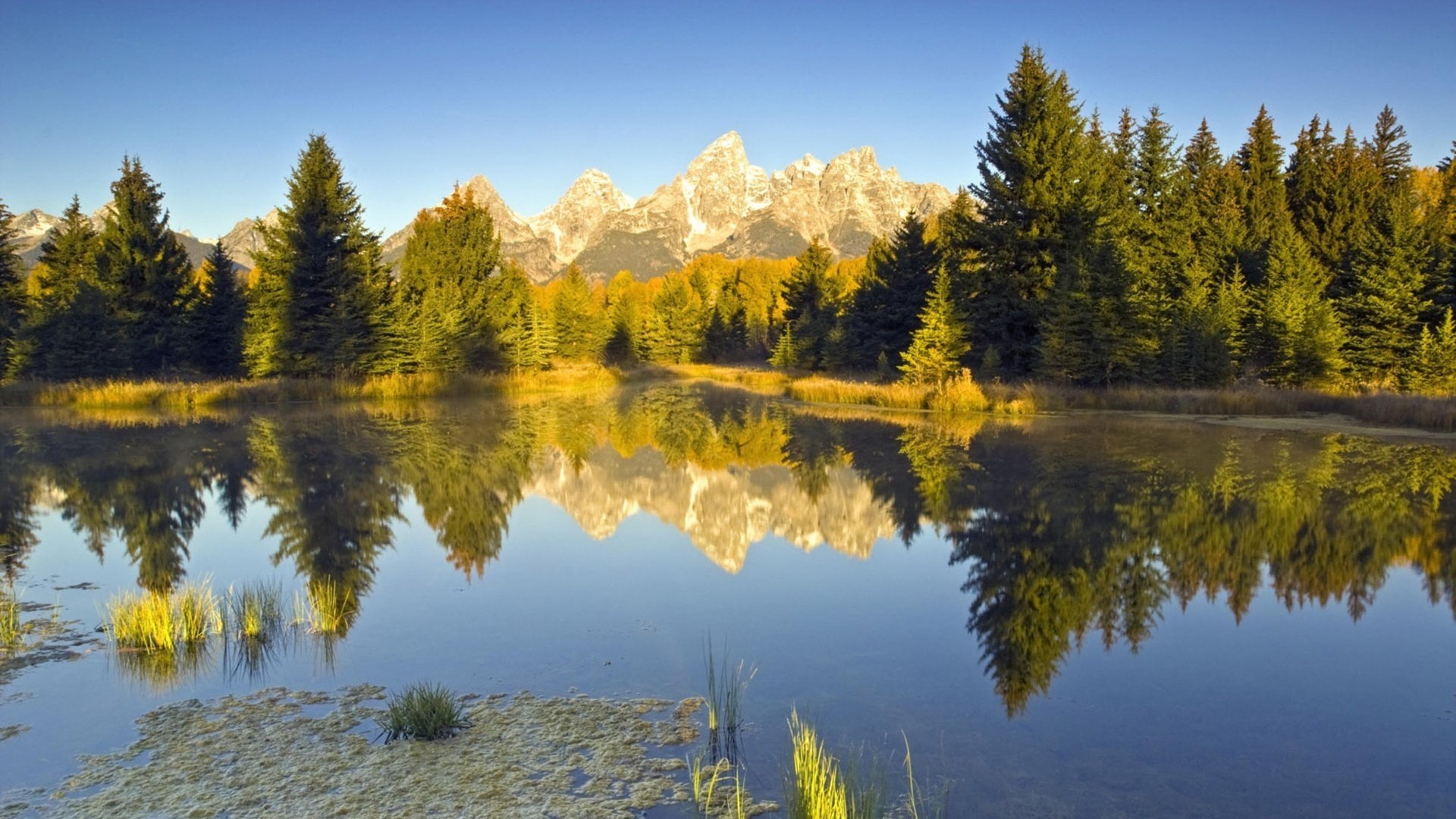 pueblo de pinos cumbres de montañas espejo de la naturaleza montañas lago bosque árboles de navidad reflexión naturaleza paisaje vista superficie agua cielo