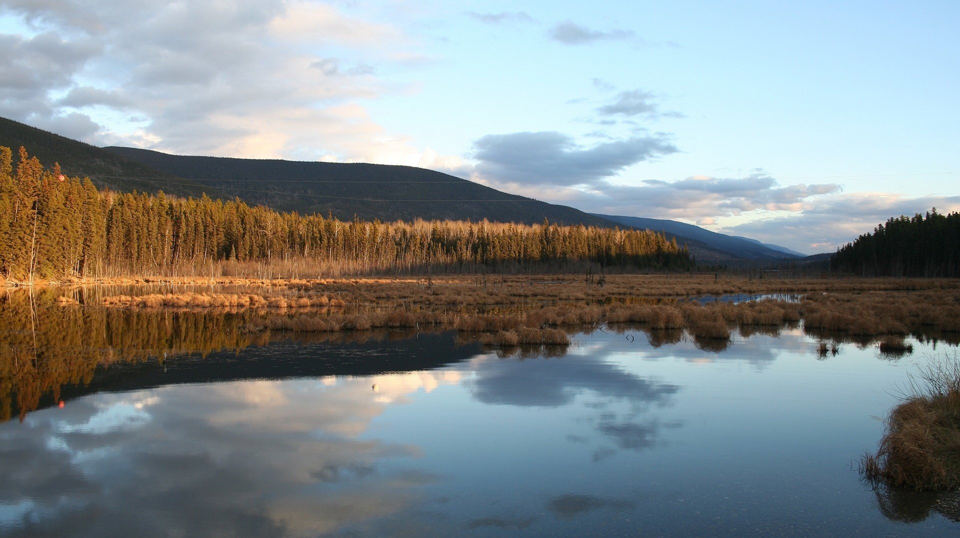 bordo della riva alberi distese d acqua montagne lago acqua