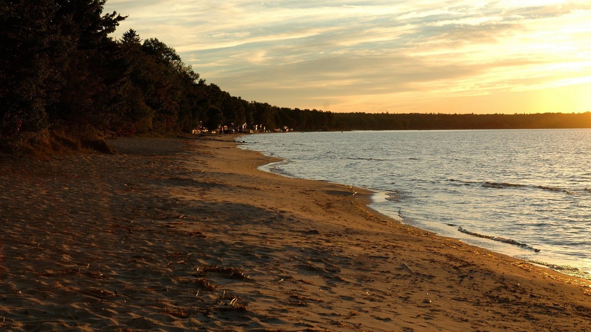 małe gałązki piasek wybrzeże zachód słońca wybrzeże morze surfowanie zatoka zatoka plaża krajobraz natura wieczór drzewa małe fale