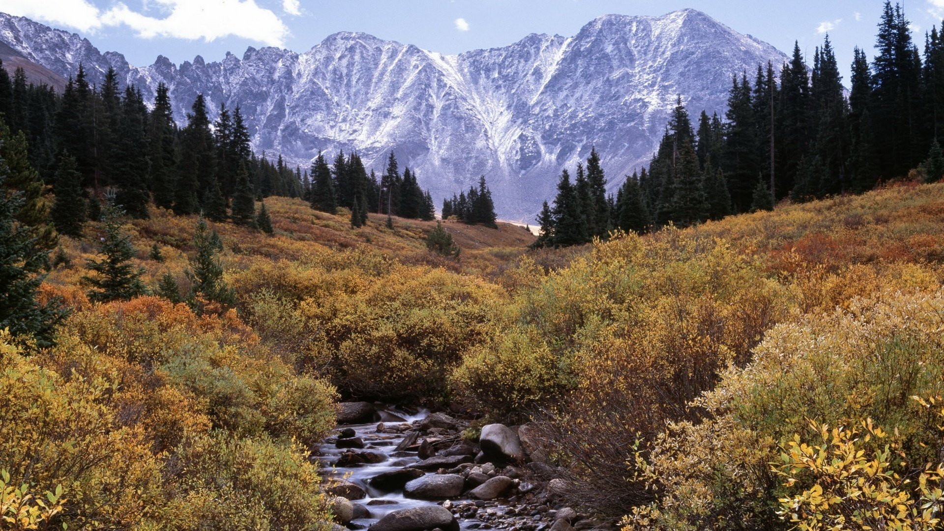 rocky terrain mountain stream bushes mountains forest