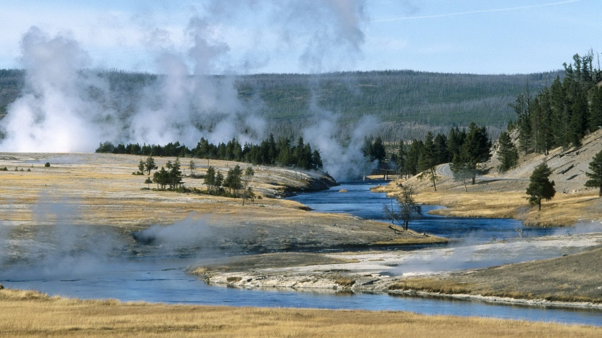 geyser caldi ruscello fauna selvatica alberi abete rosso fiume paesaggio