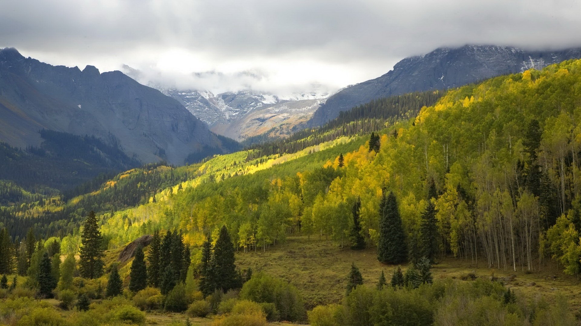 rayons subtils de lumière floraison forêt montagnes clairière nature paysage paysage