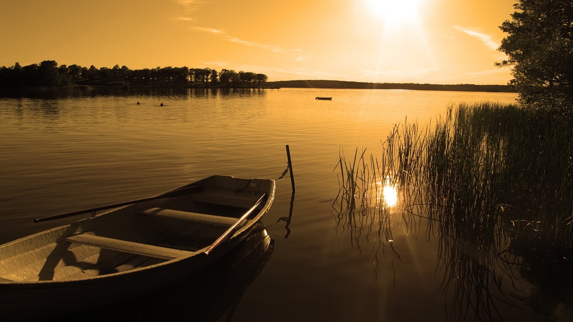 etting sun boat reeds sunset rivers evening surface landscape rays lake boat trees forest