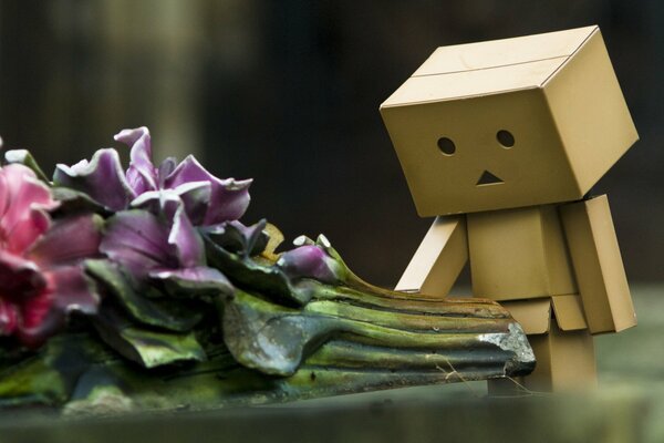 The sad little man from the boxes at the wilted bouquet