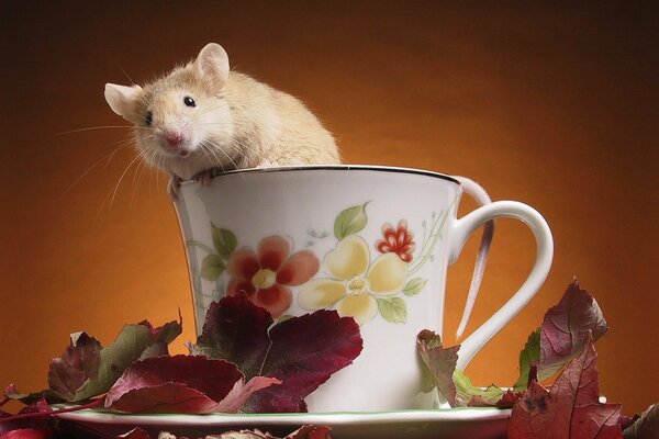 Eine Maus sitzt in einer Tasse mit Blumen